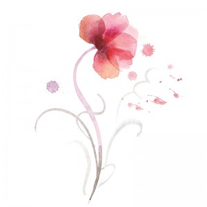 Flowers - E195