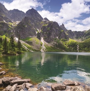Nature - E211
