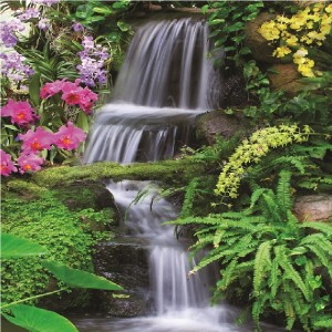 Nature - E231