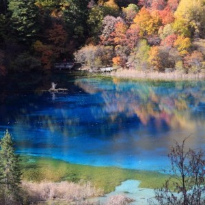 Nature - E477