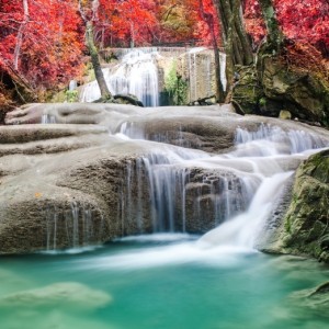 Nature - E480