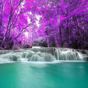 Nature - E482