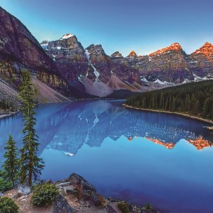 Nature - E228