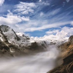 Nature - E229