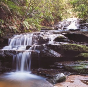 Nature - E222