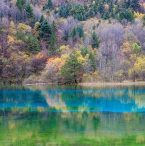 Nature - E488