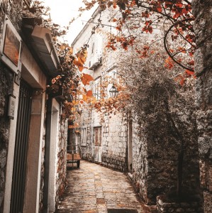 City Life - E263