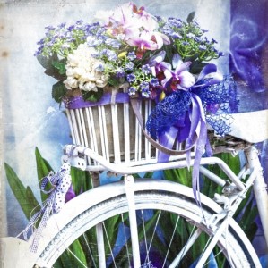 Art - E552