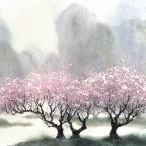 Art - E568