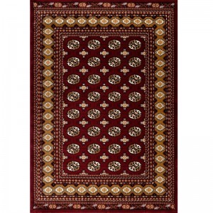 FOCUS CLASSIC - 9208 Red