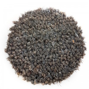 COCO - Grey