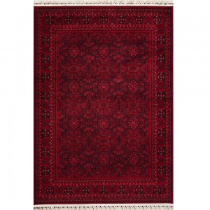 Vienna Pierre Cardin HY10 Bordo